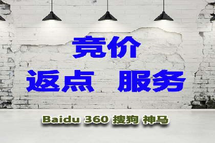 SEM广告投放中的数据监控与调整策略——以某品牌营销案例为例